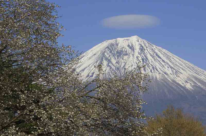 a0188405_13241520.jpg