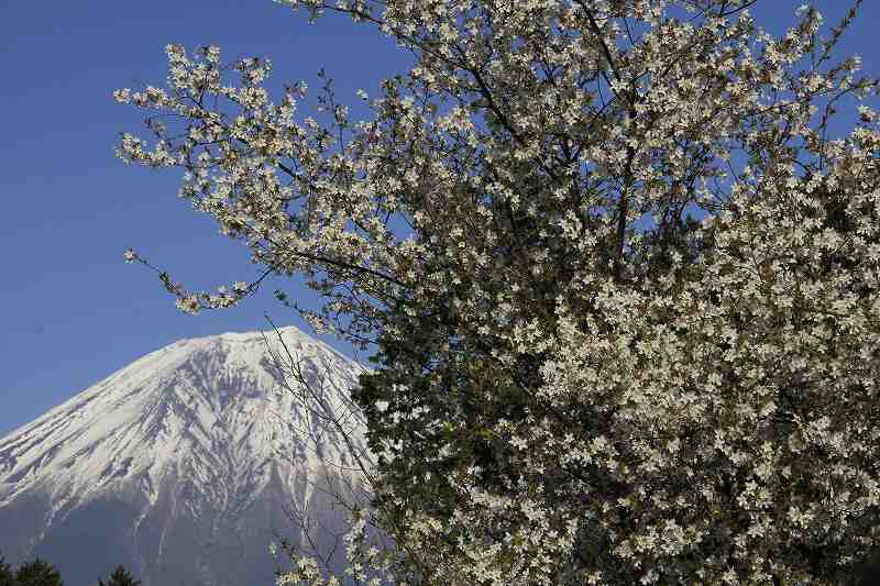 a0188405_13285352.jpg