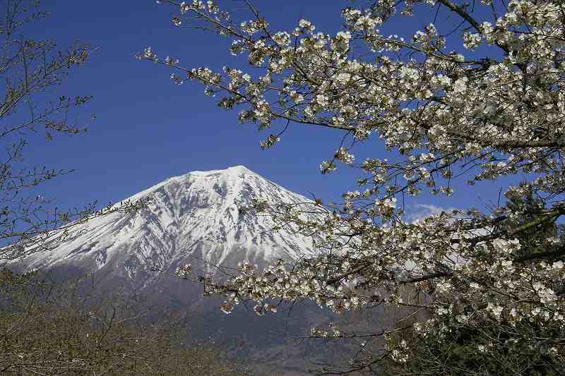 a0188405_13305172.jpg