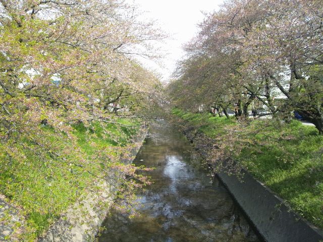 d0156706_1154714.jpg