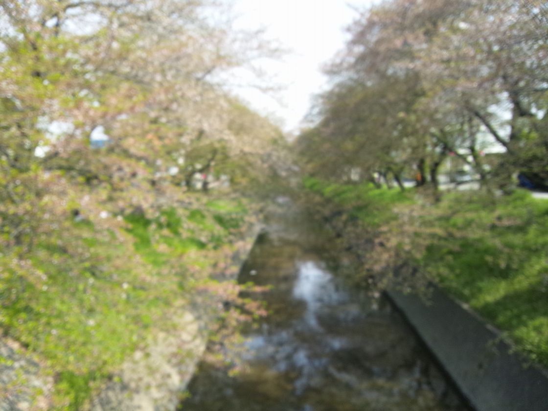 d0156706_1154954.jpg