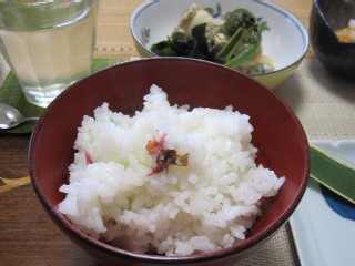 d0083316_9515713.jpg
