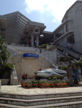 b0121019_2145899.png