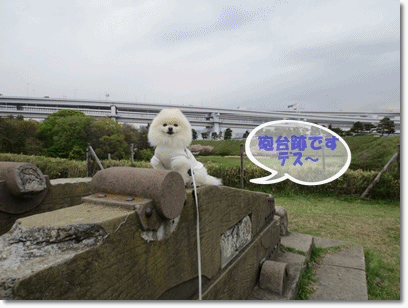 b0167519_17185212.gif