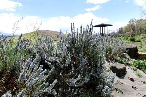 b0279527_13505546.jpg