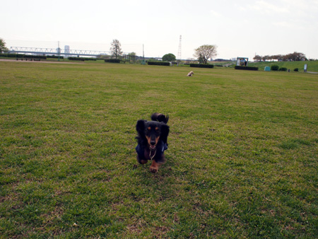 c0117831_2214487.jpg