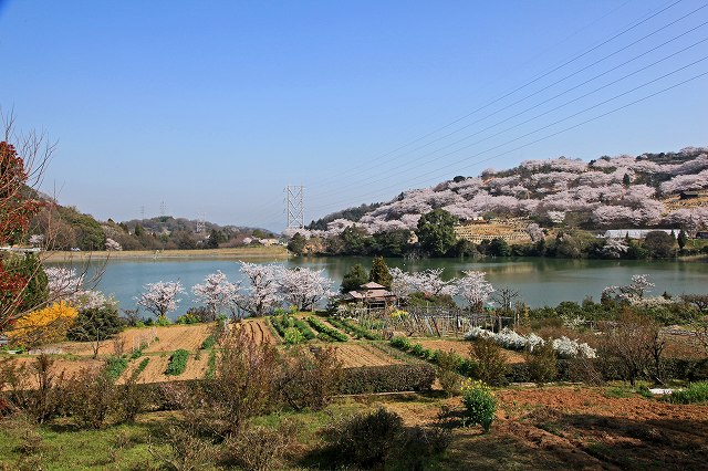 a0242438_20235015.jpg