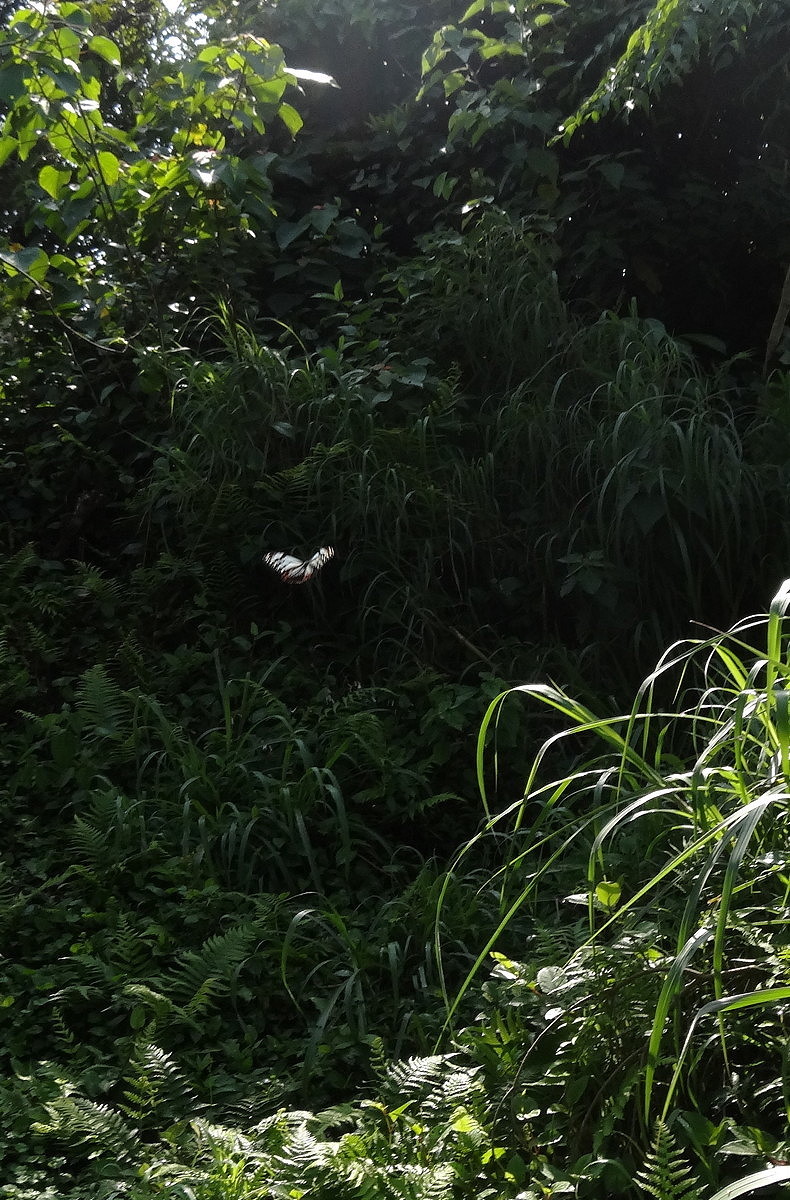 b0060239_21384329.jpg