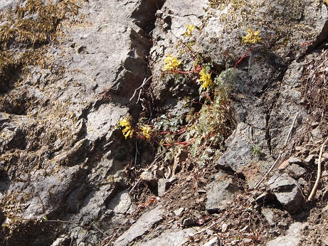 e0272042_20561923.jpg