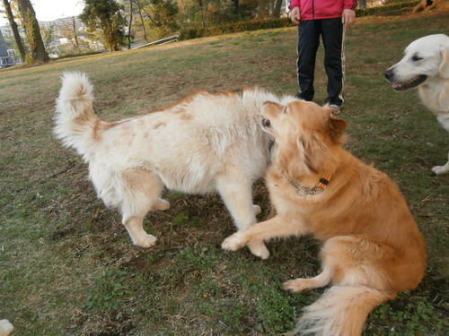 e0121548_1336103.jpg