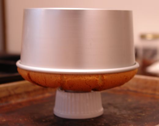 f0191248_816351.jpg