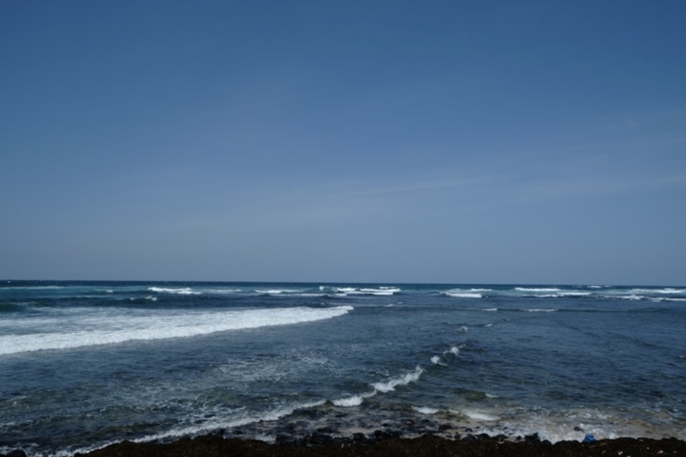 e0264158_19541869.jpg