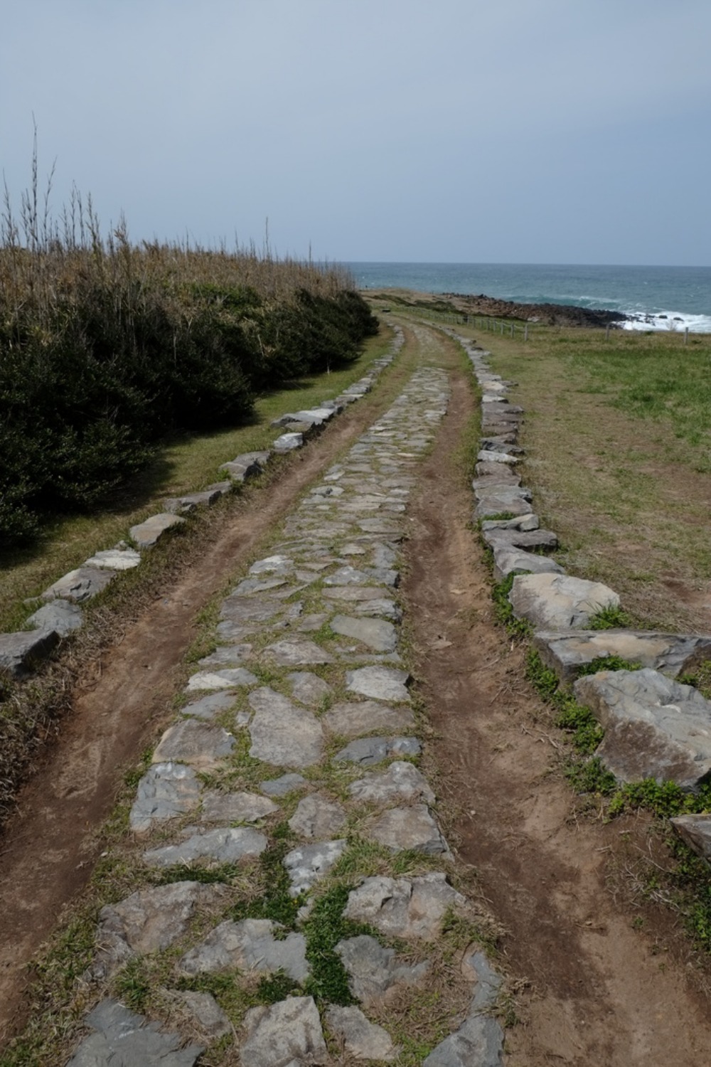 e0264158_20132280.jpg
