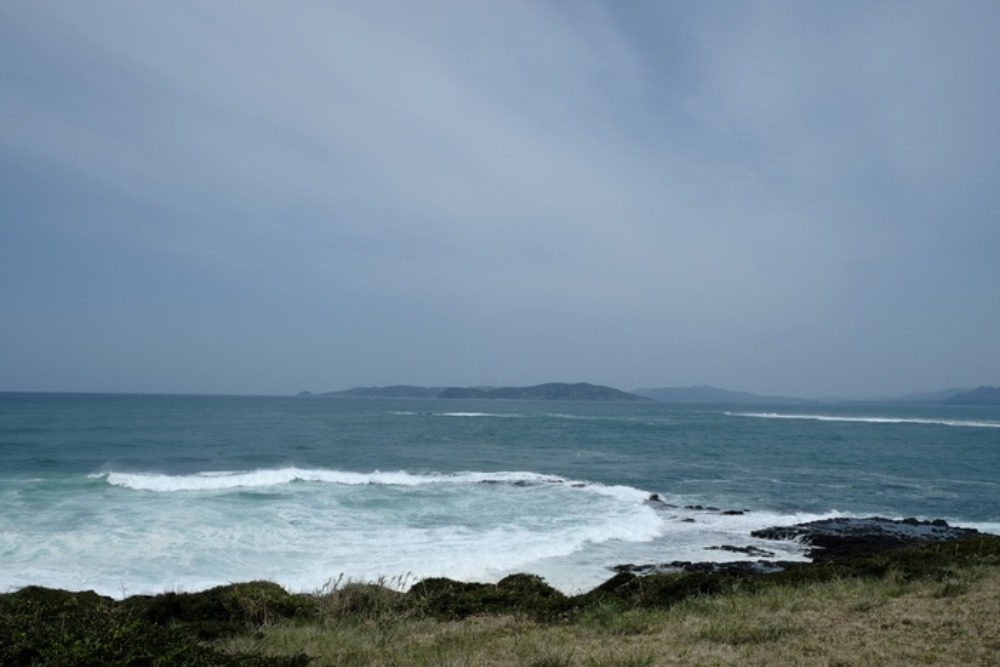 e0264158_20154938.jpg