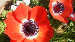 c0145763_1884680.jpg