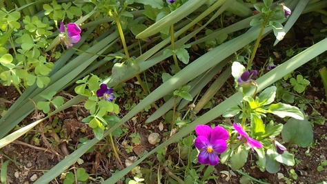 e0269170_1141355.jpg