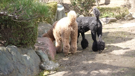 c0283778_16252244.jpg