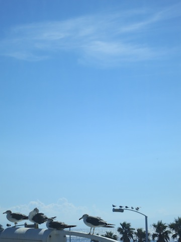 c0091380_19173841.jpg