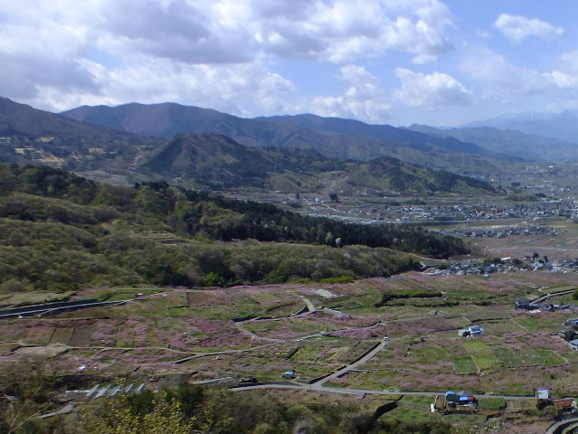 e0145782_2040428.jpg