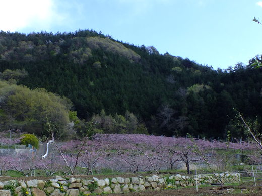 e0145782_20435051.jpg