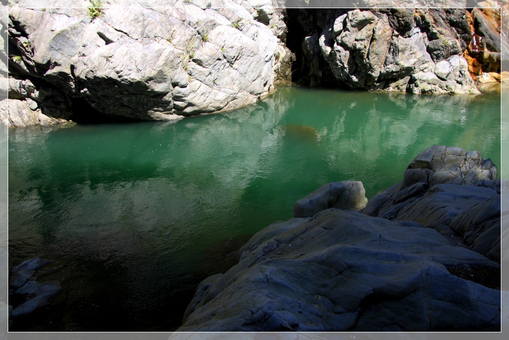 e0027083_921475.jpg