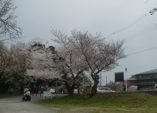 d0053294_1154483.jpg