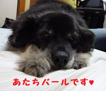 d0282395_15131259.png