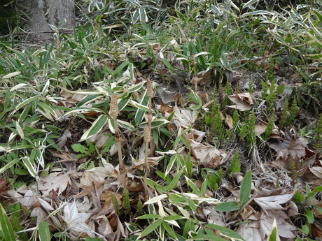 e0292102_14103913.jpg