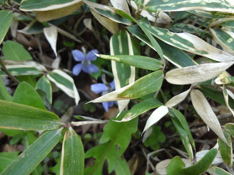 e0292102_141437.jpg