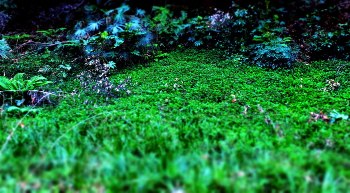 a0157704_445971.jpg