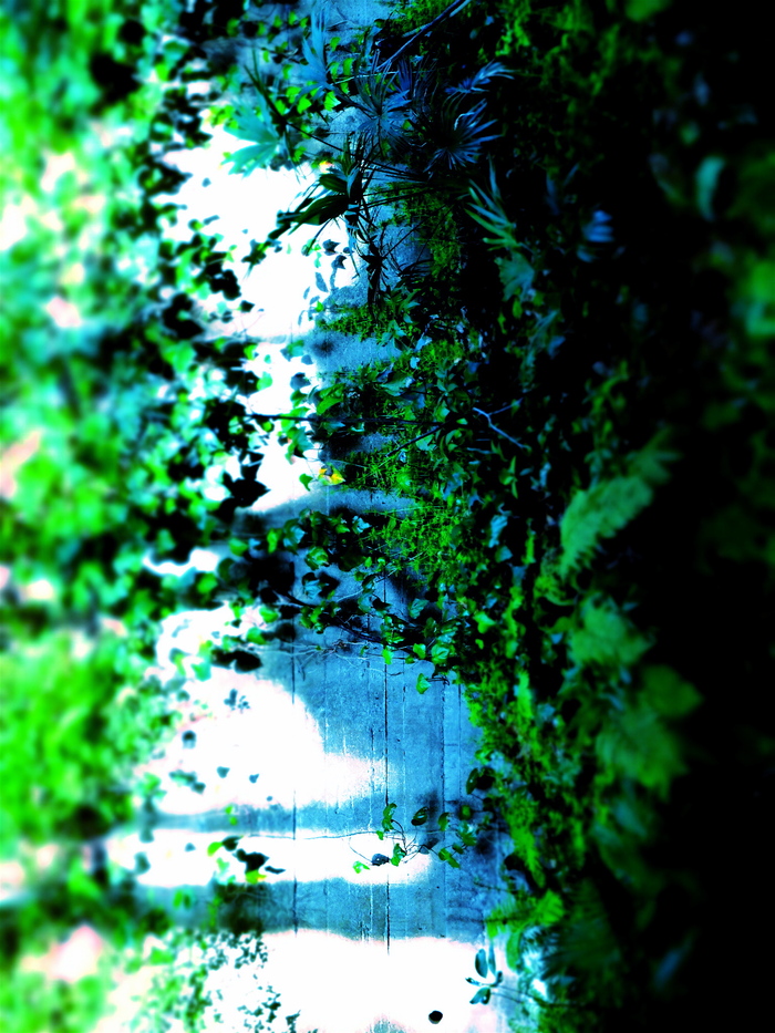 a0157704_453566.jpg
