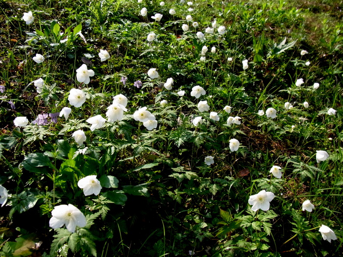 c0197004_13415100.jpg