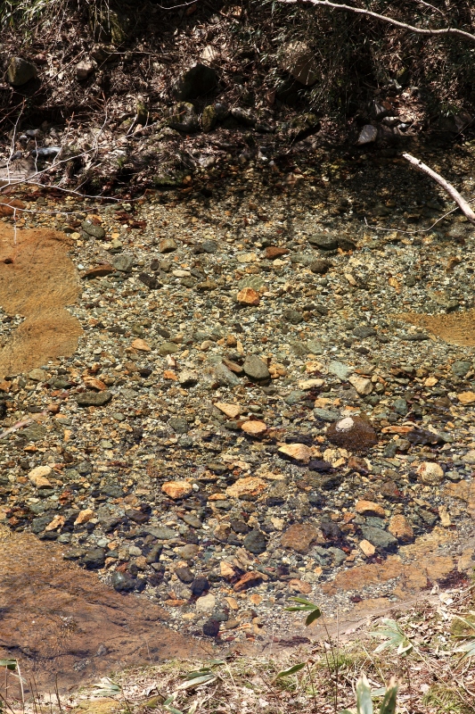 b0050305_21443864.jpg