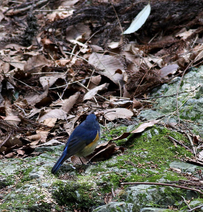 c0213607_20124846.jpg