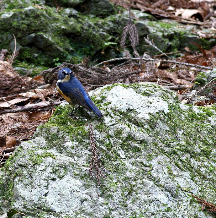 c0213607_20152021.jpg