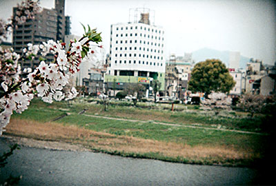 b0133911_1712246.jpg