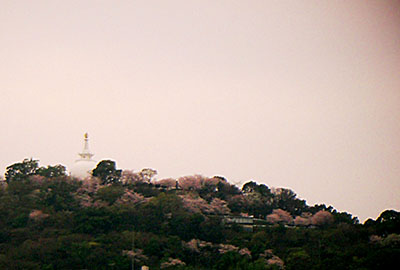 b0133911_1794220.jpg