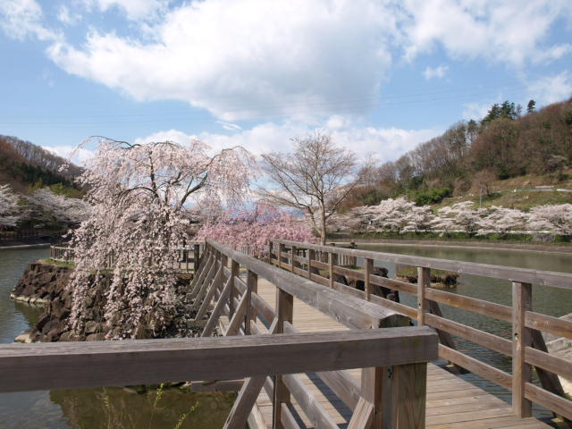 c0247614_1594010.jpg