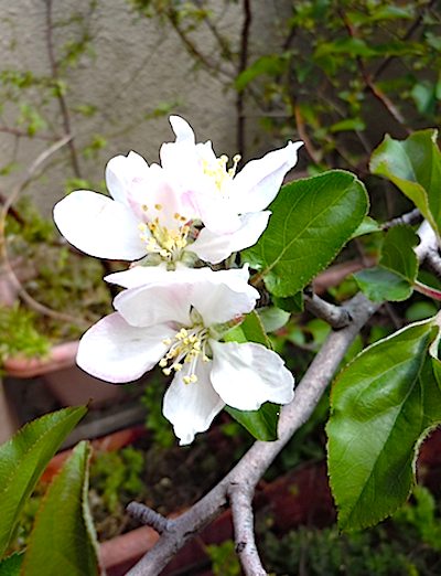 f0036716_22592013.jpg