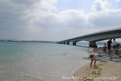 b0121019_22544462.png