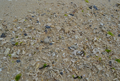 b0121019_2304940.jpg