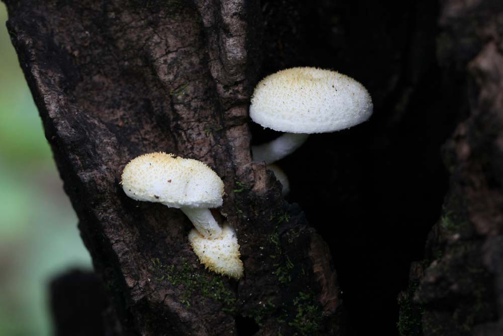 f0181821_16353962.jpg
