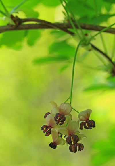 c0104227_944897.jpg