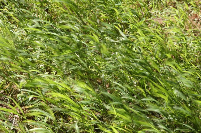 f0017530_20522793.jpg