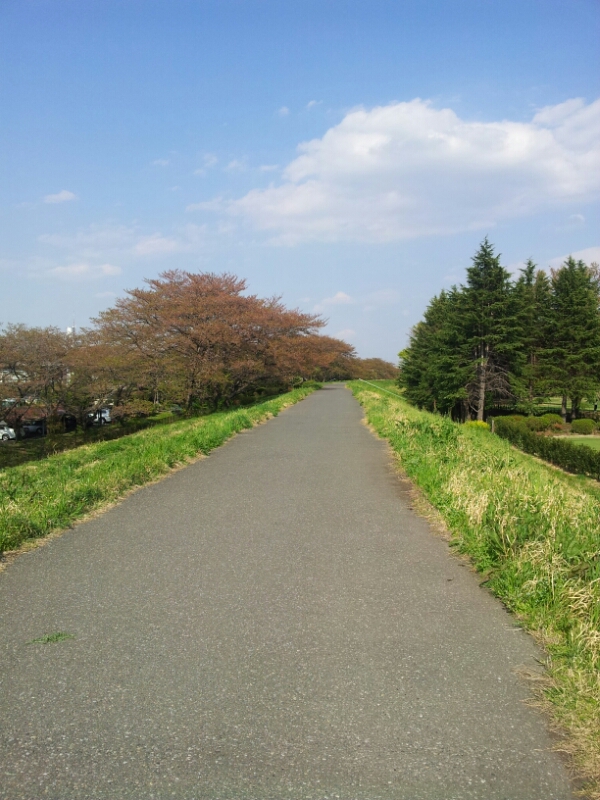 a0146431_0204127.jpg