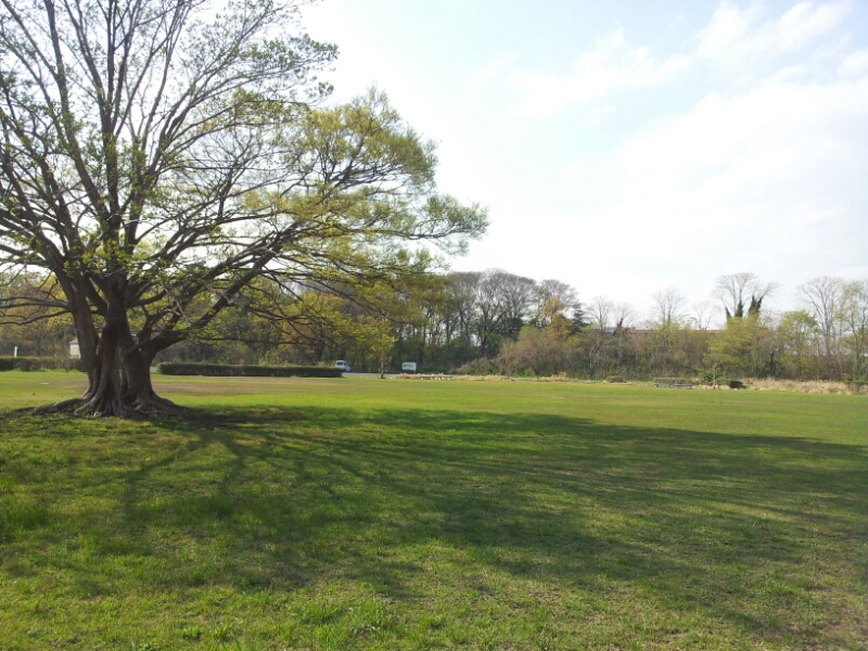 a0146431_0204657.jpg