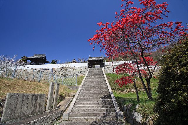 a0242438_18441437.jpg