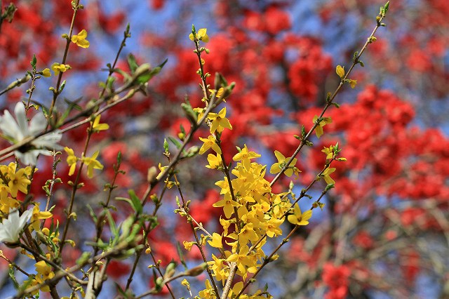 a0242438_18443210.jpg