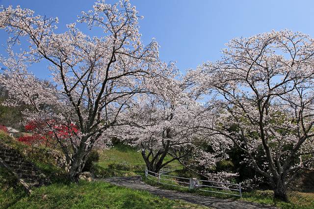 a0242438_18473778.jpg