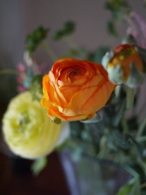 e0325038_21343340.jpg